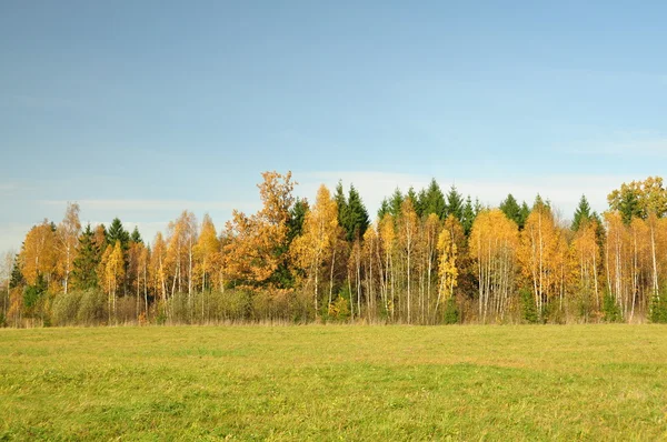 De herfst bossen en velden in een zonnige dag — Stockfoto