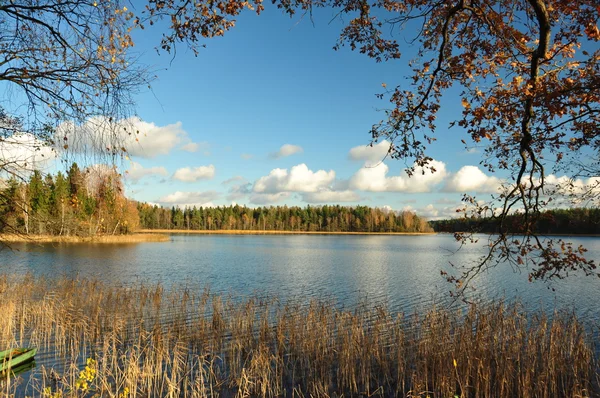 Il lago autunnale tra rami di alberi — Foto Stock