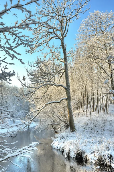 küçük nehir kış, ağaçlar