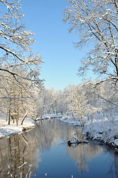 Krajobraz rzeczny w zimie — Zdjęcie stockowe