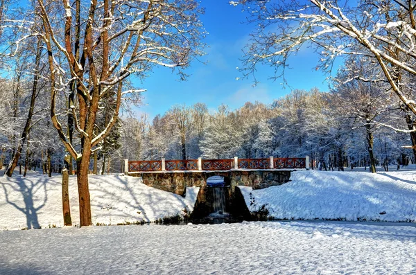 El puente de piedra en el parque en invierno —  Fotos de Stock