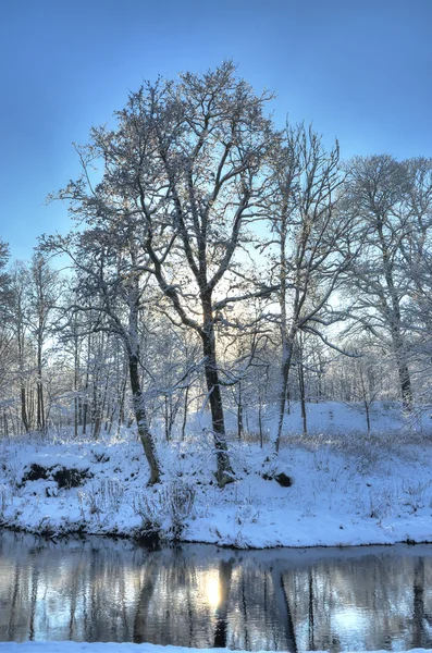 Luce del sole da sotto gli alberi al piccolo fiume in inverno Fotografia Stock