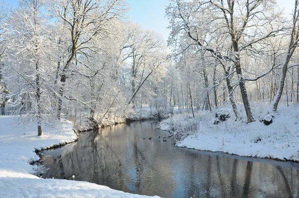 Neve branca e árvores em ambos os lados do pequeno rio Imagens Royalty-Free