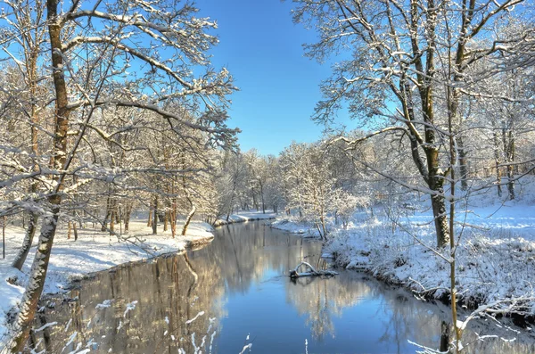 Paesaggio fluviale in parco in inverno Foto Stock Royalty Free