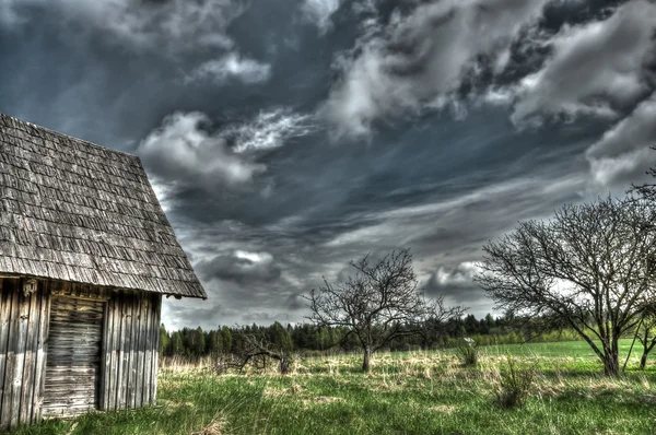 Pavillon en bois au bois — Photo