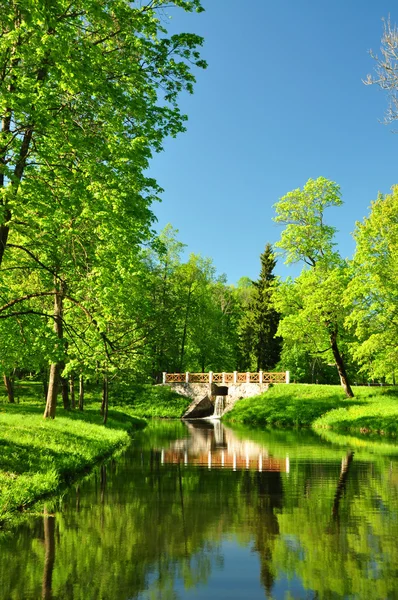 Landschap van groene park Stockfoto