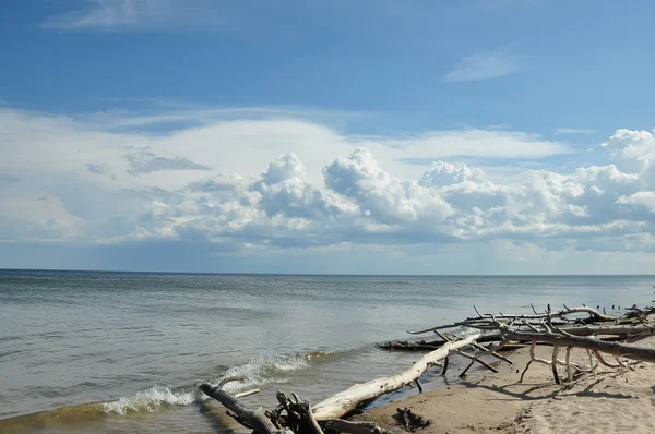 Côte de mer sauvage — Photo