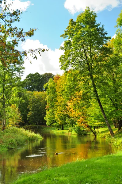 Der kleine Fluss im Herbstpark — Stockfoto
