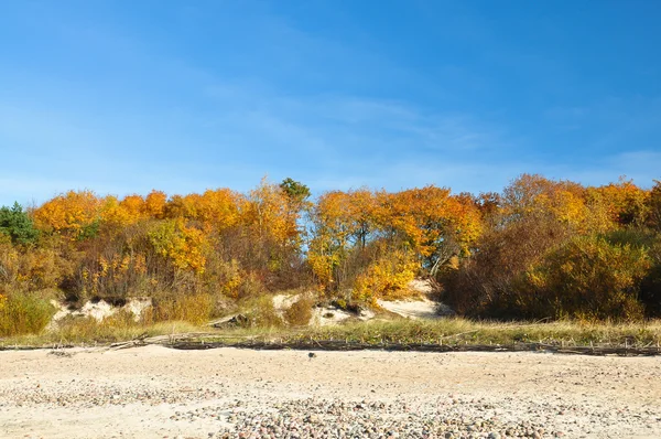 Jesień w wydmy — Zdjęcie stockowe
