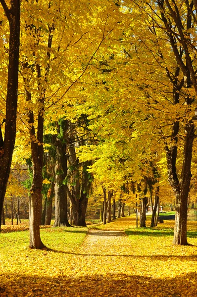 Sendero en el parque en el otoño — Foto de Stock