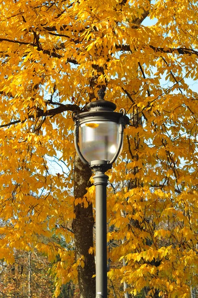 Lampa i park i höstens tid — Stockfoto