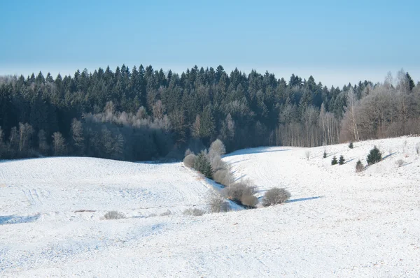 フィールドと森の中は雪で覆われて — ストック写真