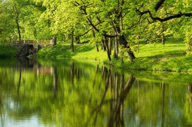 Parktaki yaya köprüsü