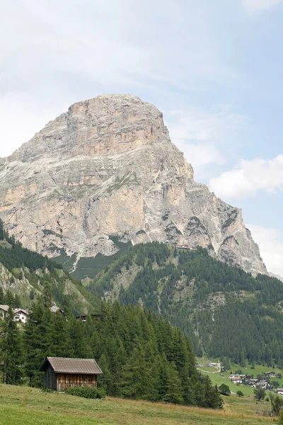 Hut in the middle of the mountain meadow — Stock Photo, Image