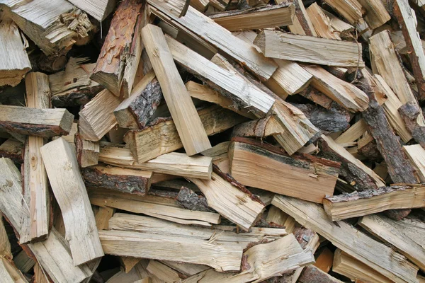 Pieces of wood cut from lumberjack — Stock Photo, Image