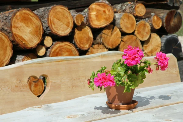 Ława drewniana z wygrawerowanym sercem i kwiat wazon w pobliżu schroniska — Zdjęcie stockowe