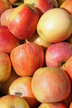 Satılık Market Olgun Parlak kırmızı elmalar