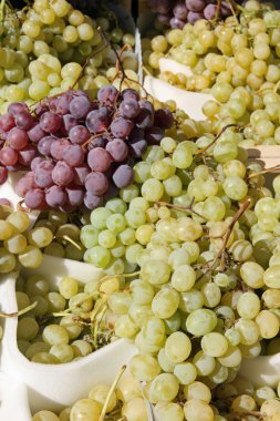 siyah üzüm demet ve beyaz üzüm salkımı