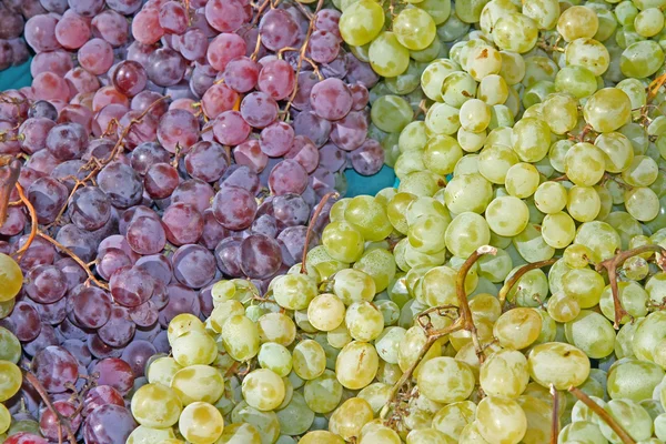 Grappolo d'uva nera e grappolo d'uva bianca in autunno — Foto Stock