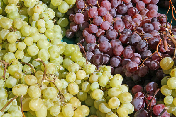 black grapes and a bunch of white grapes