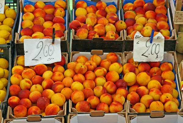 Mandje van volwassen en smakelijke perziken uitverkoop — Stockfoto