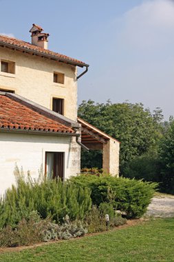 kırsal ev ve Bahçe ile kokulu aromatik bitki biberiye