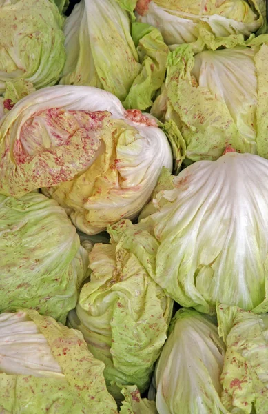 Salada verde e cabeças crocantes radicchio para venda — Fotografia de Stock