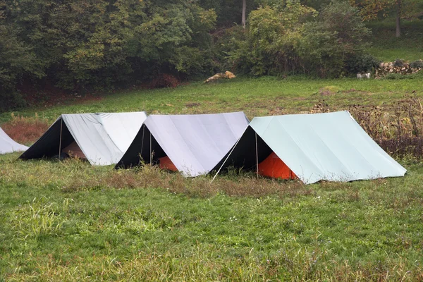 Boy scout tält monterad på gräset — Stockfoto