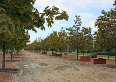 driveway yağmur sonra genel bir park