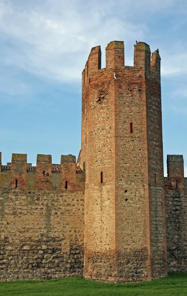 Ősi torony a középkori vár a Montagnana Val di Pesa — Stock Fotó