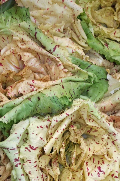 Färsk sallat och radicchio säljs från mataffären — Stockfoto