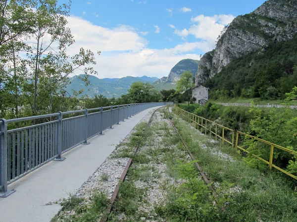 Vecchia ferrovia abbandonata con le rotaie quasi scomparso — Foto Stock