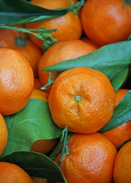 Juicy orange and tangerines for sale at vegetable market — Stock Photo, Image