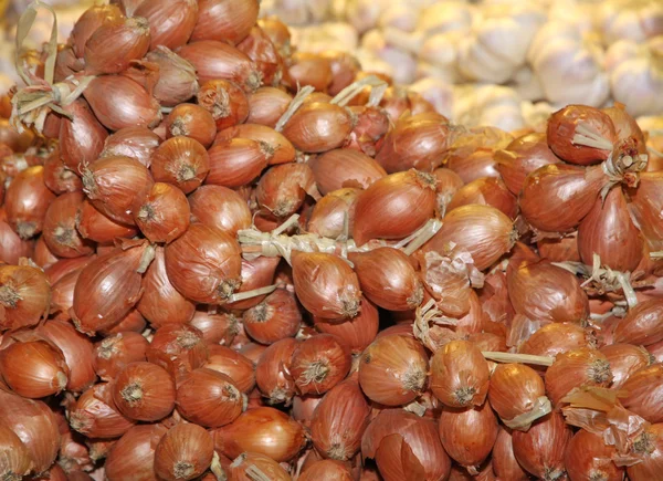 Knoblauchknollen und Zwiebeln zum Verkauf — Stockfoto