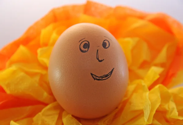 눈 코와 입으로 웃는 계란 — 스톡 사진