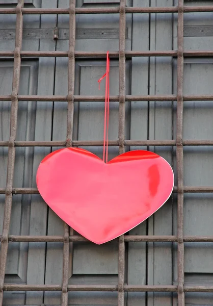 Red heart hanging on the grid on Valentine's day — Stock Photo, Image