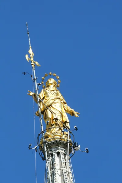 Statua dorata della madonna sul duomo di milano con il blu — Foto Stock