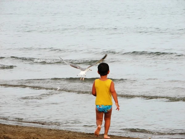 Kind op het strand in het achtervolgen van seagul — Stockfoto