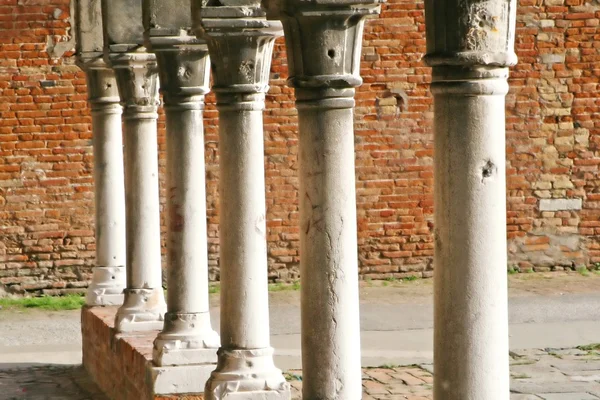 Venedik Cloisters bir dizi sütun — Stok fotoğraf