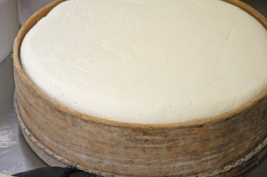 peynir fabrikası, peynir ve taze caciotta c için