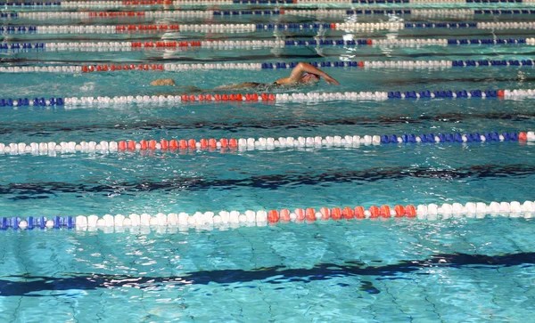 Schwimmer trainiert vor Wettkampf im Olympiabecken — Stockfoto