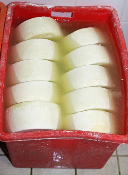 Производство сыра и свежего сыра качотта в молочной лаборатории — стоковое фото