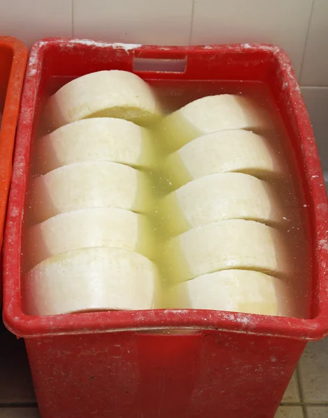 Fábrica de quesos para la producción de queso y caciotta fresca c —  Fotos de Stock