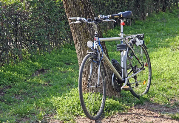 Tourist bicycle leaning against a tree during a day in late spri — Stock Photo, Image