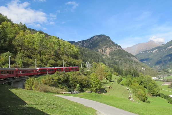 Güzel İsviçre dağlarda 15 kırmızı tren — Stok fotoğraf