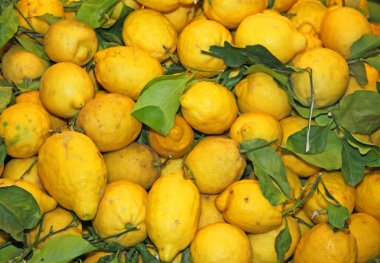 Sicilya sarı l yapmak mükemmel olgunlaşmış limondan duvar kağıtları