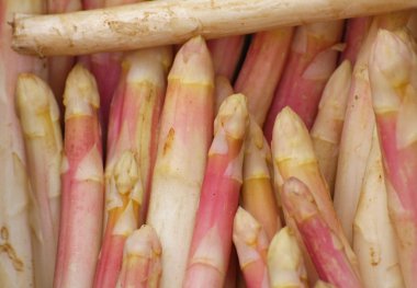 taze kuşkonmaz Demet taze beyaz Satılık vegeta aldı.