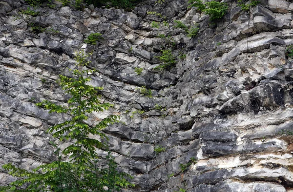 Capas visibles de roca en una extracción mineral de cantera —  Fotos de Stock