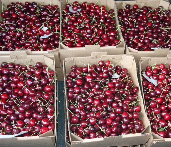 Caixas cheias e cesta de grandes e suculentas cerejas vermelhas maduras em s — Fotografia de Stock