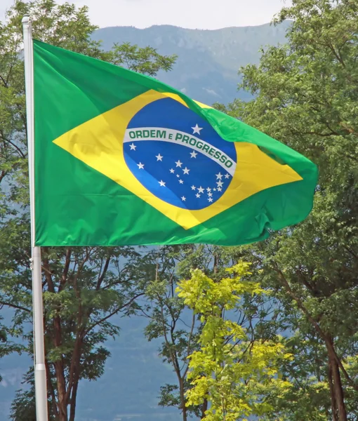 ブラジルの風ファンで移動ブラジルの旗 — ストック写真